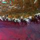 Image for article titled Behold 10 years' worth of breathtaking images of Earth